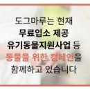 도그매니저 이미지