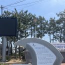 [내돈내산/강진] 매주말마다 열리는 마량놀토수산시장 방문 후기 🌊