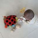 도담지소아청소년과의원 | [👶🏻] 세종 손근형소아청소년과의원 두상 스캔 예약 방법, 사두+단두 진료 후기 (+셀프교정 1개월 후...