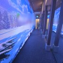 해선 에너지 | 청담동피부과 엠페이스(EM페이스) 중안면부 리프팅 가격 비용 후기 내돈내산