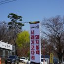 서당골 과천점 이미지