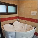 보람애견 이미지