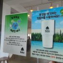강릉 카페 추천 사천해변 바우카페 본점 흑임자커피 후기
