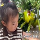 관광단지로(동) | 부산 기장 아이와 가볼만한곳 실내 체험 여주곤충박물관 오시리아관광단지