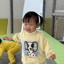 천전동 장난감은행 이미지