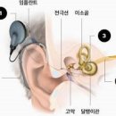 와우로 이미지