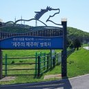 제주의 제주마 이미지