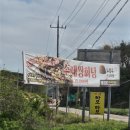 하모하모사장 | [경북 안동 도청] 카페 하모하모 아이데리고 가족과 함께 경북도청 근처 폐교를 리모델링한 이색카페