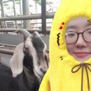 남원흑염소농장 2농장 이미지