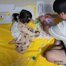 [공지] 27개월 장난감 추천 러닝리소스 피크닉 바스켓 색깔놀이