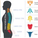 퓨어필라테스 이미지