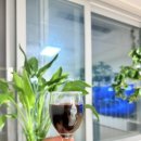 데일리와인 평택점 이미지