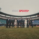 스포츠플러스