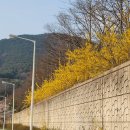 고창공설운동장 이미지