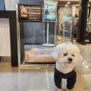 역삼-1417 이미지