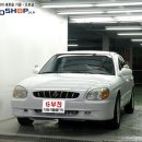 엘피지카 이미지