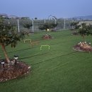 힙독 애견카페 이미지