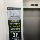 [필라테스] 뉴바디 필라테스 신촌점 | 이대 필라테스 그룹레슨 4회 체험한 뒤 쓰는 솔직 후기!