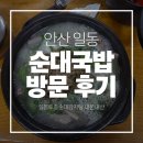 할머니들과 함께 간 안산 순대국밥, 일동토종순대감자탕 내돈내산 후기 [진솔한리뷰]