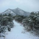 {신시도 대각산} 2월 12일 일요일 9시 30분 송천동 호남유통출발 이미지