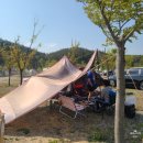 백마강오토캠핑장 이미지