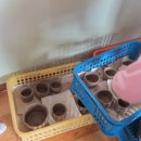 수영4리 이미지