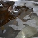 사계절 밑반찬 요리 이미지