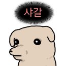 마싯소 식육식당 이미지