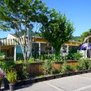 청풍호떡갈비 이미지