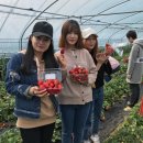 새날농장 이미지