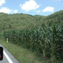 마지기로 이미지