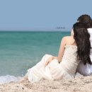 폴모리아(Paul Mauriat)최고의 멜로디 컬렉션 이미지