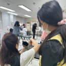 보성애견 이미지