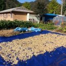 땅콩민박 이미지