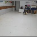 바우밸리 이미지