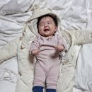 매음농장 네이버블로그