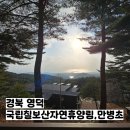 영덕 숙소 국립칠보산자연휴양림 휴양관 만병초 4인실 후기