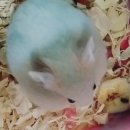 좌천동물병원 이미지