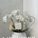 백조농장(2) 이미지