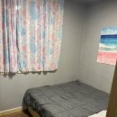 춘천여우그늘 이미지