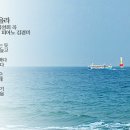 해운대에 올라 이미지