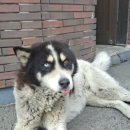 (주)삼원양산공장 네이버블로그