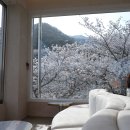 구이마마 이미지