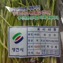 치산미나리 10호점 이미지