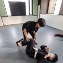 팀훅 복싱&주짓수 이미지