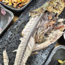 원효로 | [맛집 데이트] 원효로 쓰나미 후기🔥 회덮밥 11,000원 실화? 알탕까지 미친 가성비 맛집