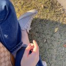 (주)샤론아이엔씨 이미지