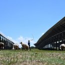 방목태양광발전소 이미지