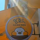광주 호두과자 맛집 &#34;앙호두&#34; 포장 후기