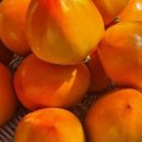 대봉유통 - 761 | 대봉유통